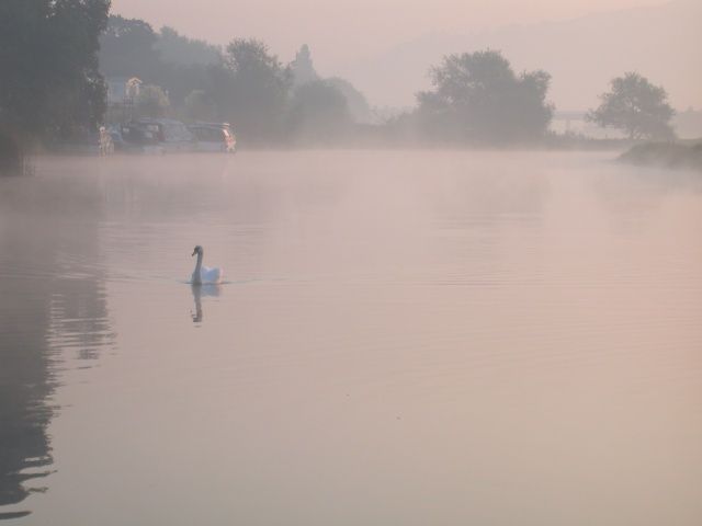 Twyning Fleet in the morning