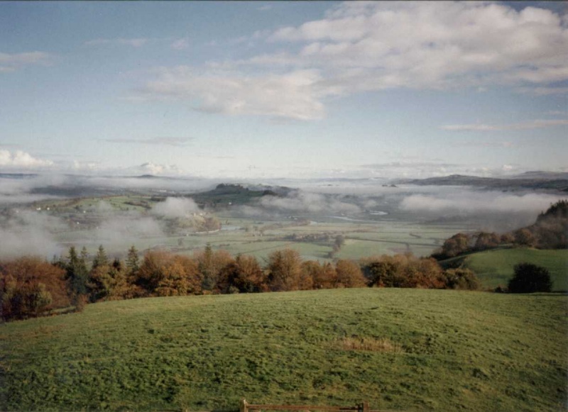 View from the Tower (thanks Lynda)