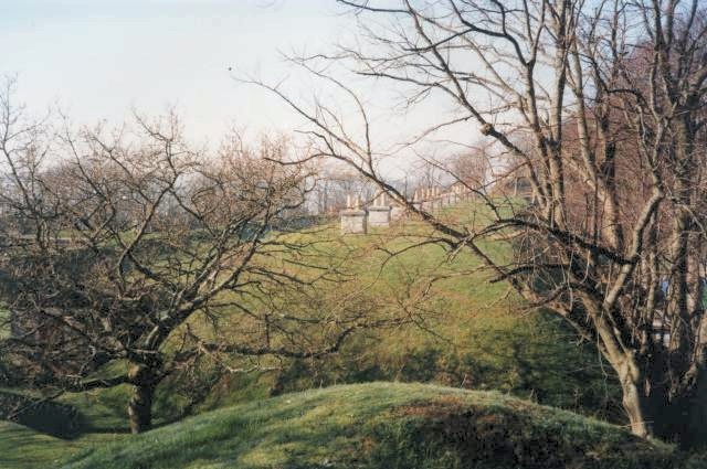 View along the roof (thanks Den)