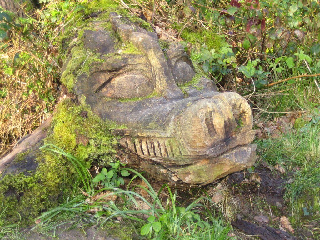 Carved aligator in Bethall Edge Wood
