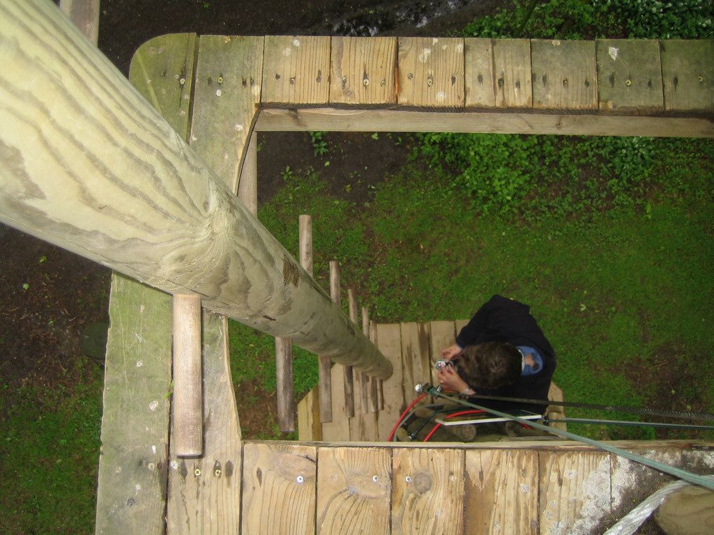 Looking down the totem pole ladder