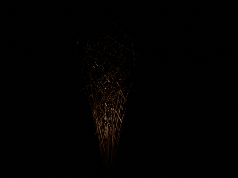 DSCN3128