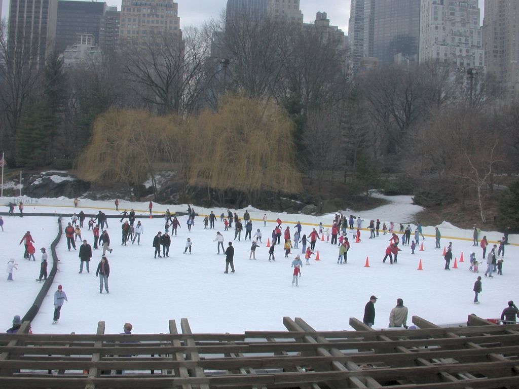 Skating in Central Park