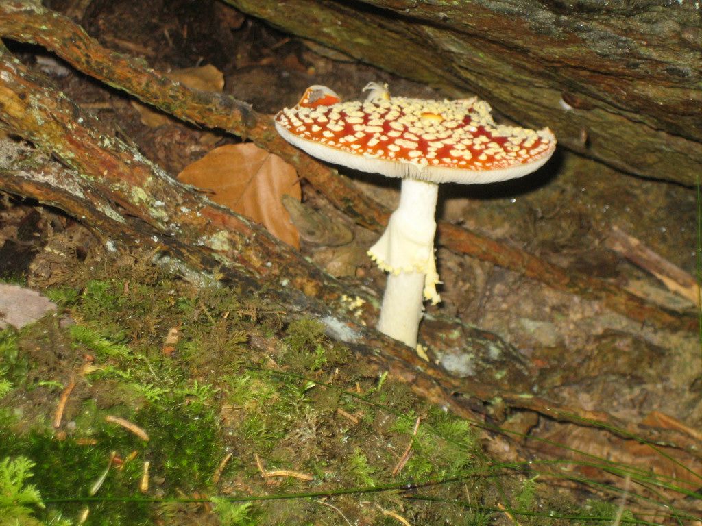 Don't eat that!
