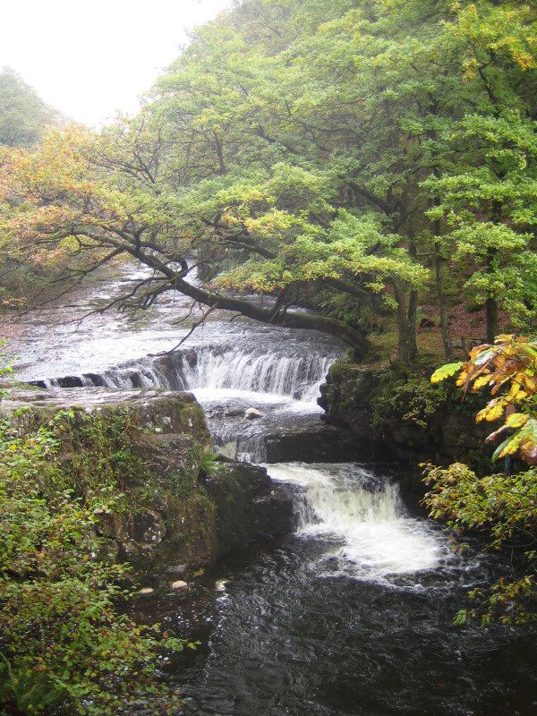 Some horseshoe falls