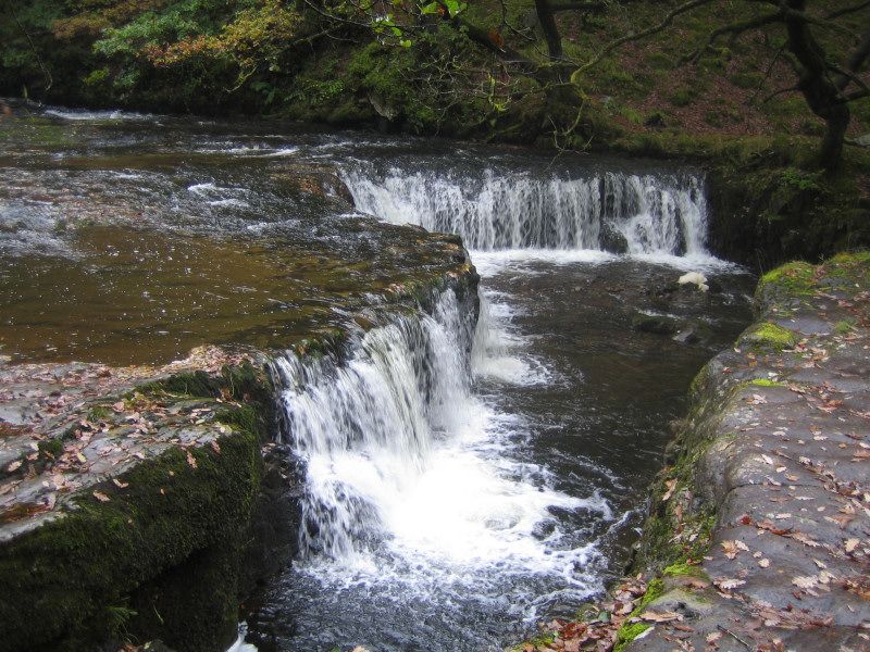 Horseshoe falls