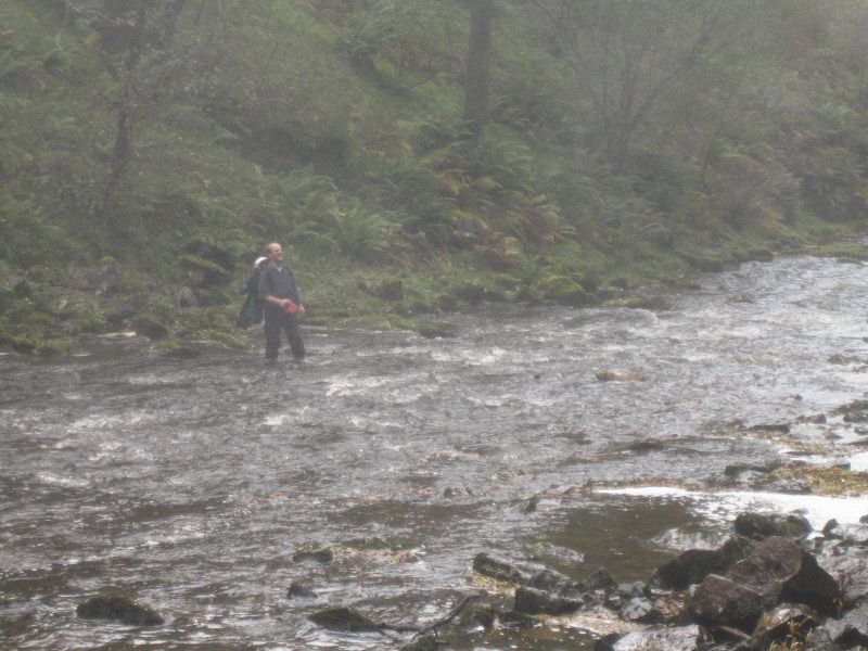 Molly didn't want to cross the river!