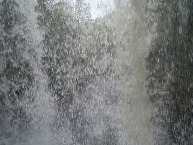 Looking out through the falls