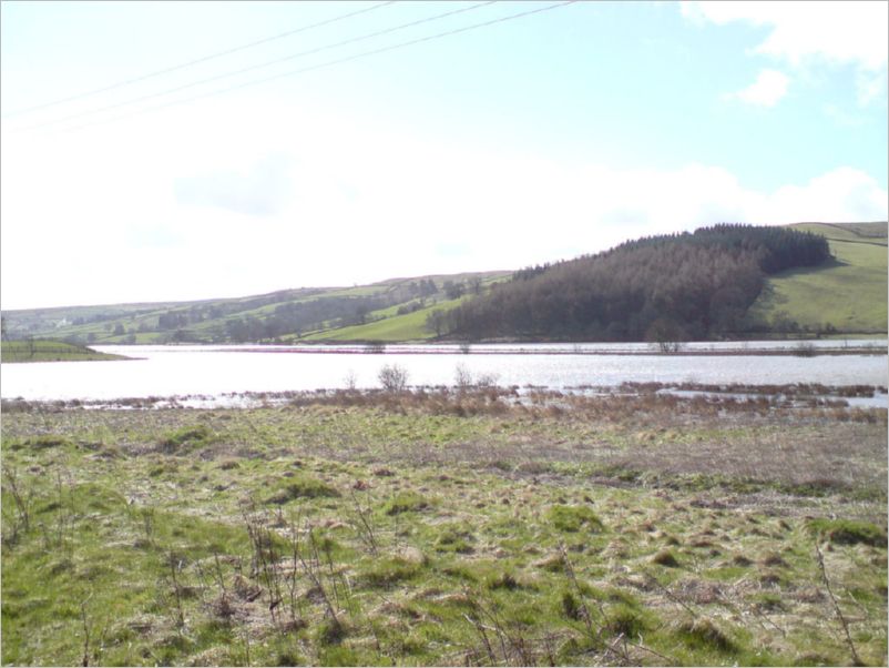 DSC00352_Gouthwaite