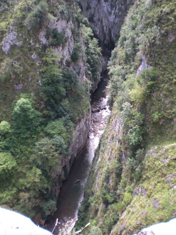 DSCN0119