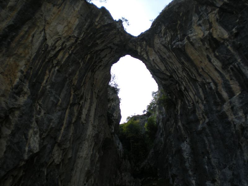 DSCN0142